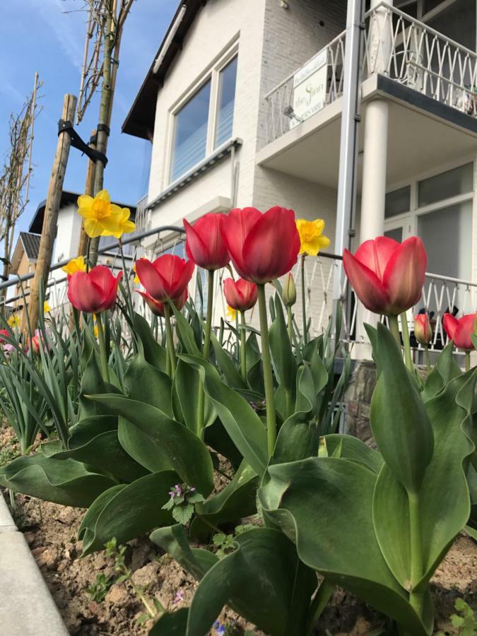 Boutiquehotel B&B The Sjinn Schin op Geul Esterno foto